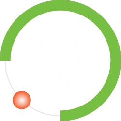 Animal Protein Production